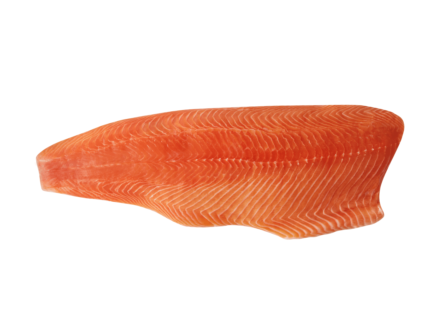 Salmon-flesh