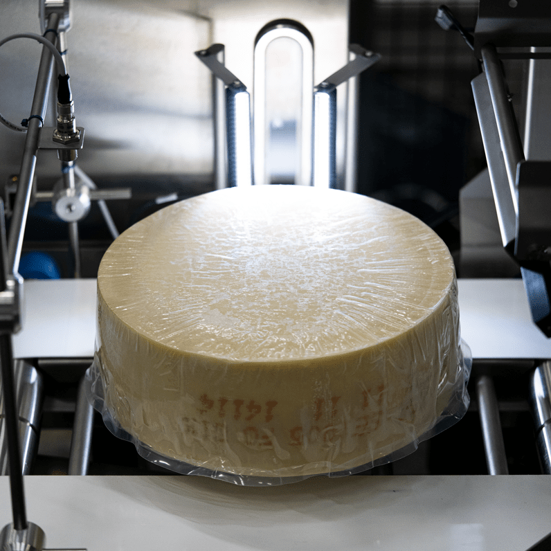 Cheese-Inspection-Round-Cheese